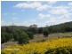 Yungaburra QLD 4884