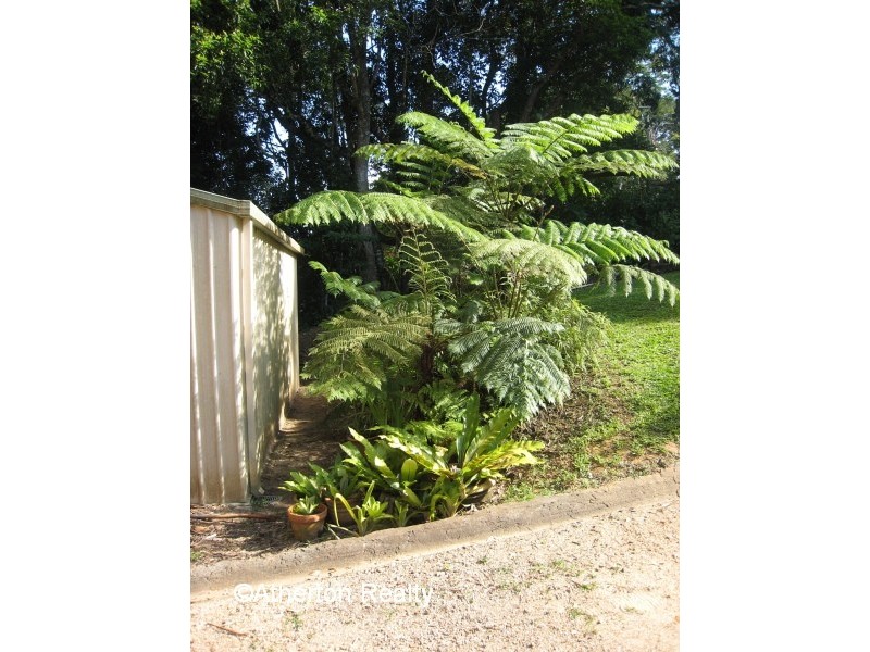 Yungaburra QLD 4884