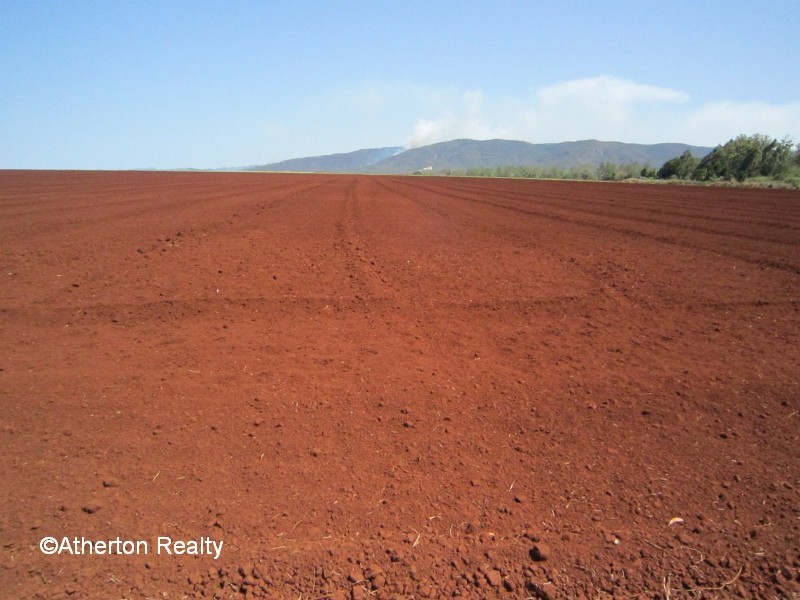 Atherton QLD 4883