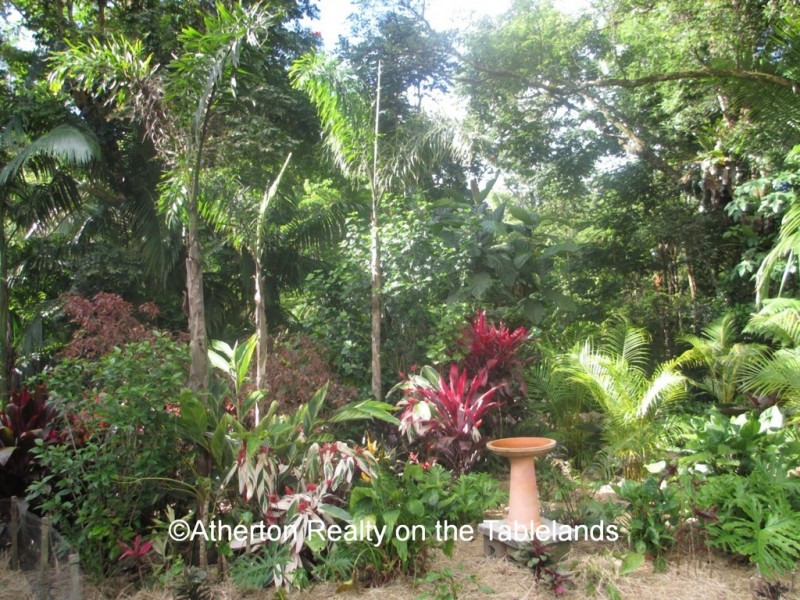 Millaa Millaa QLD 4886