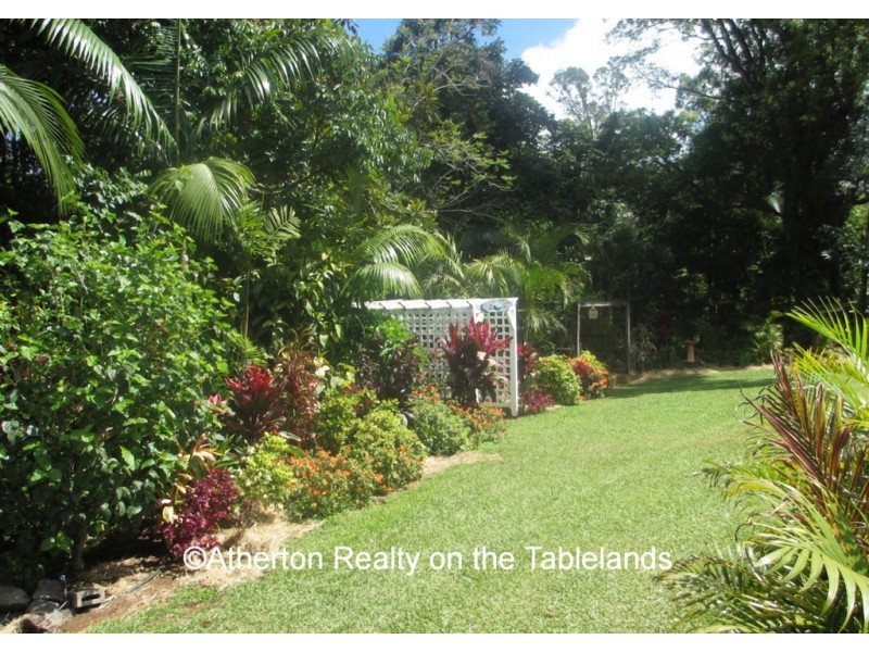 Millaa Millaa QLD 4886