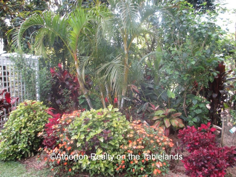 Millaa Millaa QLD 4886