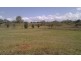 Yungaburra QLD 4884