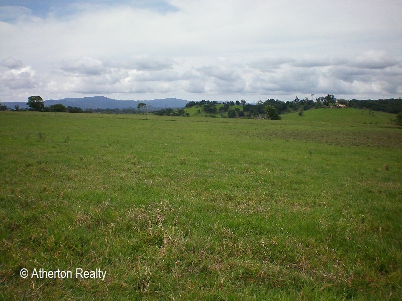 Yungaburra QLD 4884