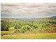 Millaa Millaa QLD 4886