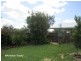 Mareeba QLD 4880