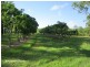 Walkamin QLD 4872