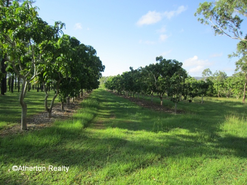 Walkamin QLD 4872