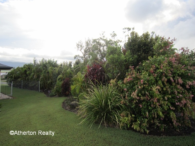 Atherton QLD 4883