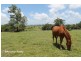 Malanda QLD 4885