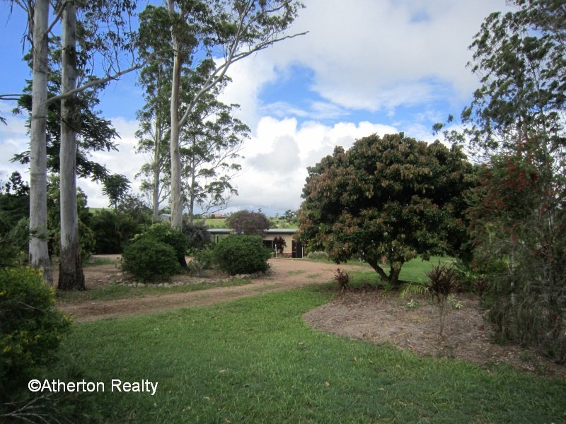 Lake Eacham QLD 4884