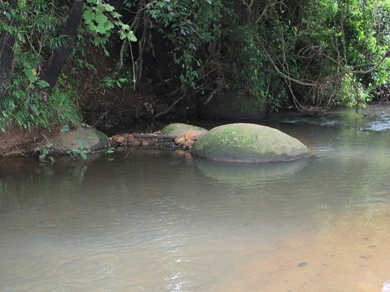 Tarzali QLD 4885