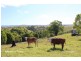 Tarzali QLD 4885