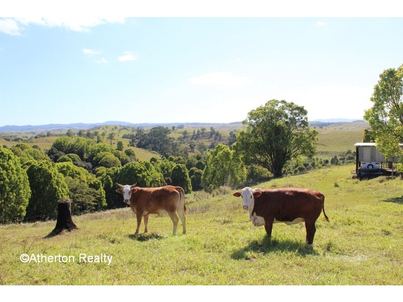 Tarzali QLD 4885