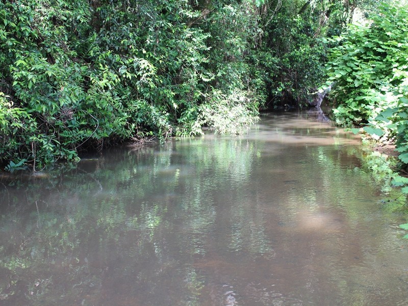 Tarzali QLD 4885