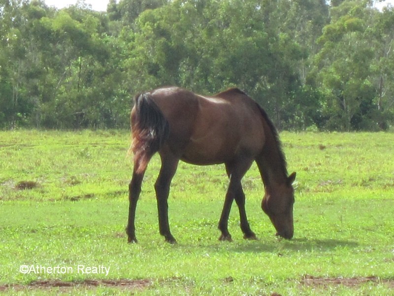 Tolga QLD 4882