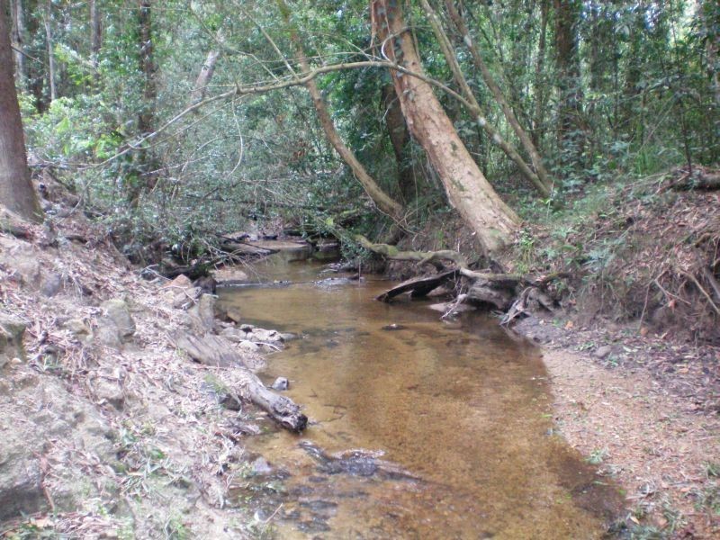 Wongabel QLD 4883