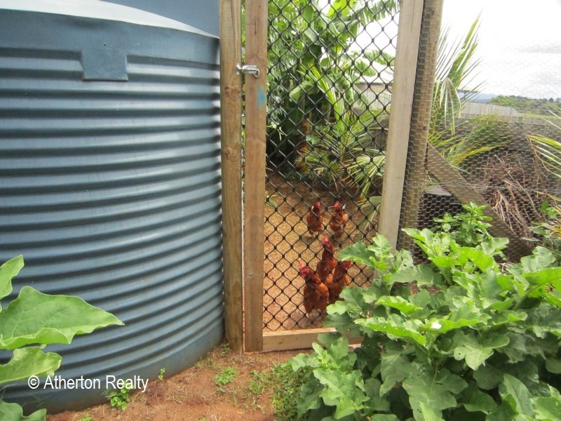 Yungaburra QLD 4884