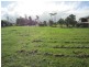 Tolga QLD 4882