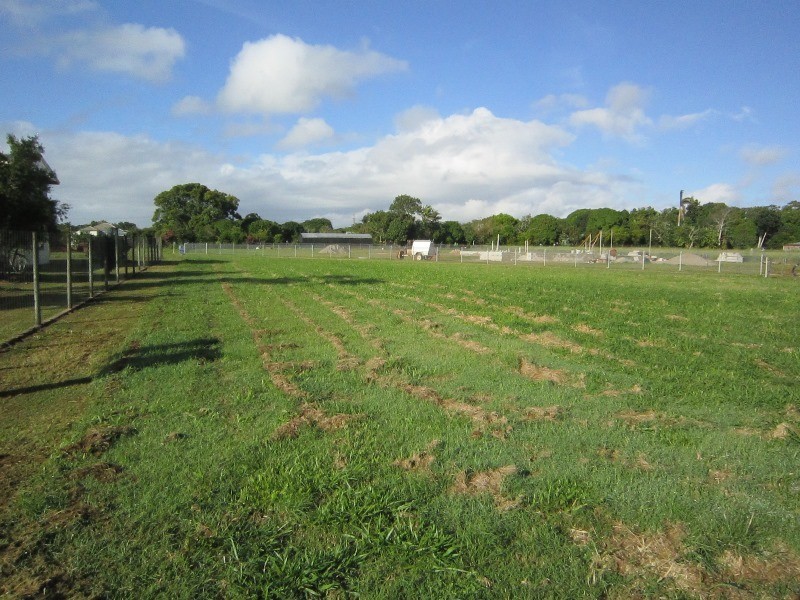 Tolga QLD 4882