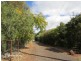 Tolga QLD 4882