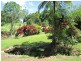 Malanda QLD 4885
