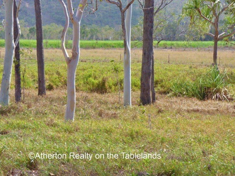 Mareeba QLD 4880
