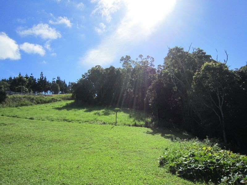 Yungaburra QLD 4884