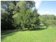 Yungaburra QLD 4884