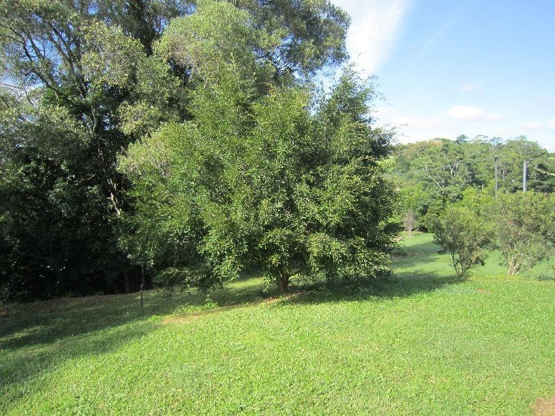 Yungaburra QLD 4884