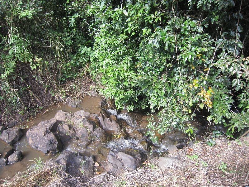 Yungaburra QLD 4884