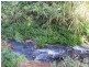 Yungaburra QLD 4884