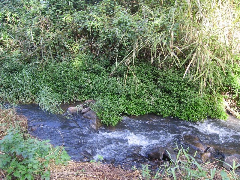 Yungaburra QLD 4884
