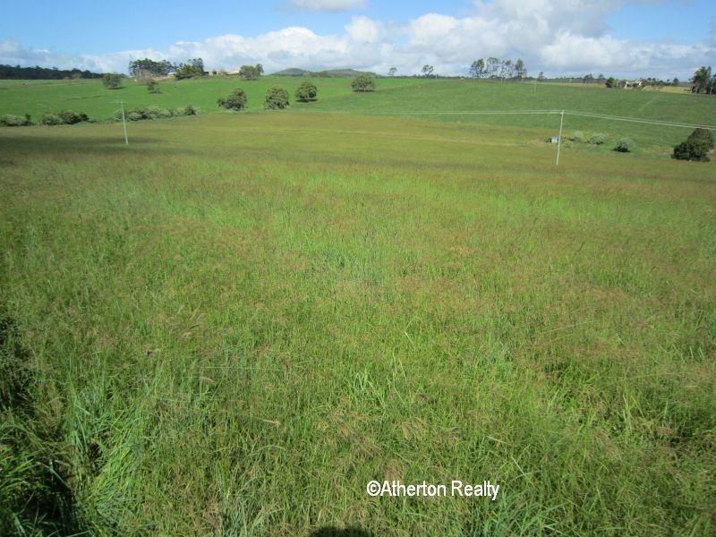 Yungaburra QLD 4884