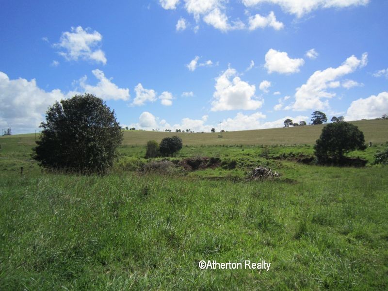 Yungaburra QLD 4884
