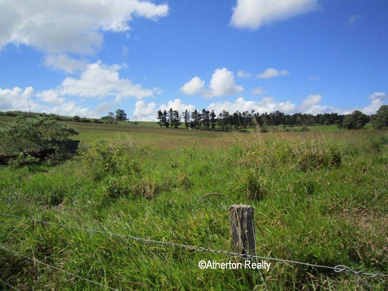 Yungaburra QLD 4884