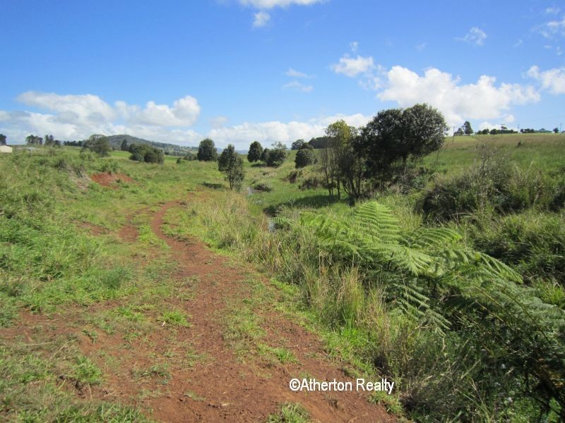 Yungaburra QLD 4884