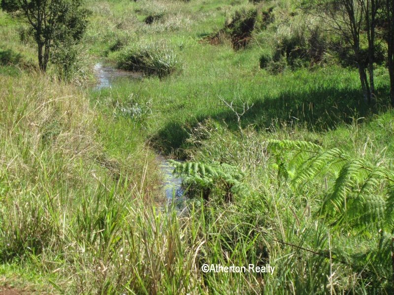 Yungaburra QLD 4884