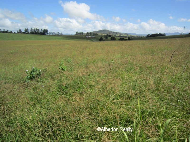 Yungaburra QLD 4884