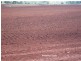Yungaburra QLD 4884