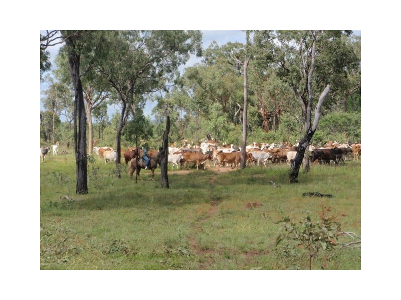 Innot Hot Springs QLD 4872