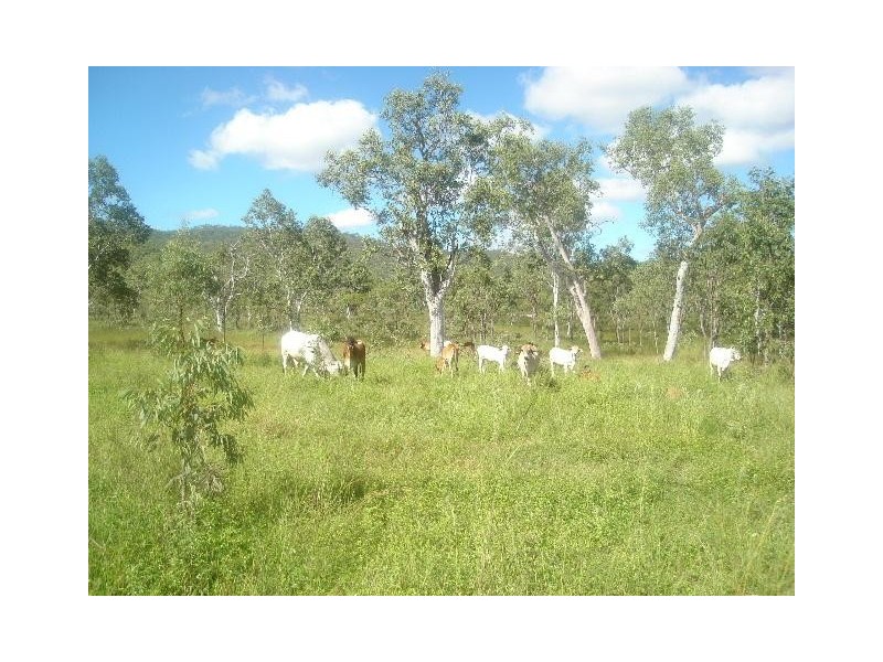 Innot Hot Springs QLD 4872