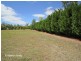 Tolga QLD 4882