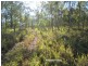 Tolga QLD 4882