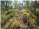Tolga QLD 4882