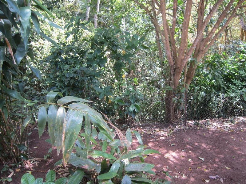 Atherton QLD 4883