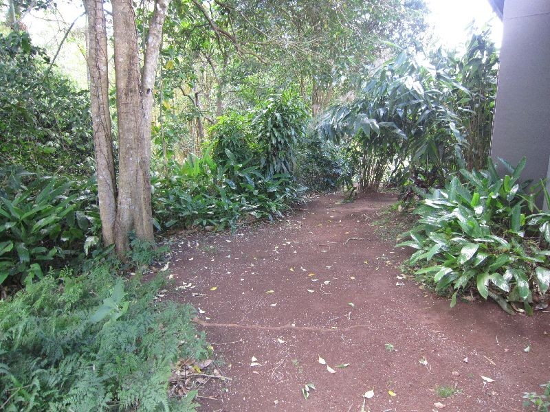 Atherton QLD 4883