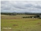 Tolga QLD 4882