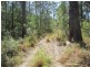Wondecla QLD 4887