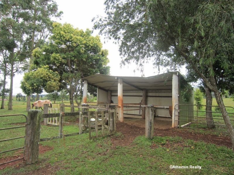 Yungaburra QLD 4884